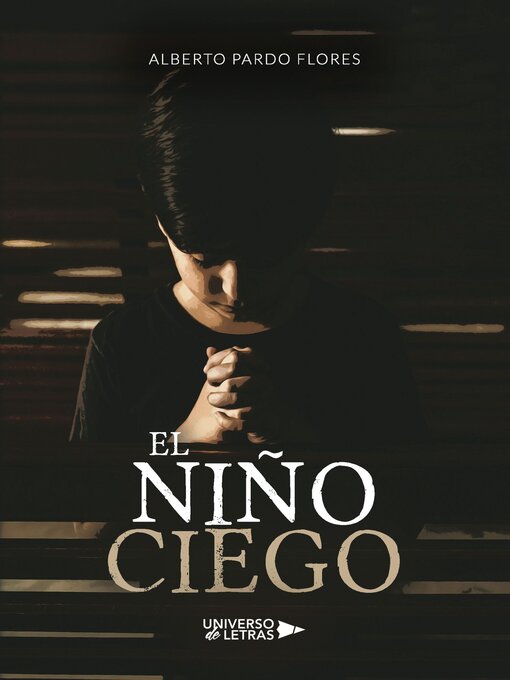 Title details for El niño ciego by Alberto Pardo Flores - Wait list